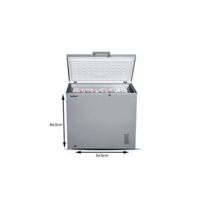 Skyrun Deep Freezer BD200A Grey  200ltrs