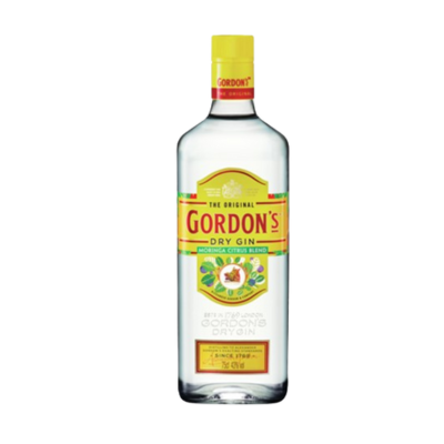 Gordon Dry Gin 305ml
